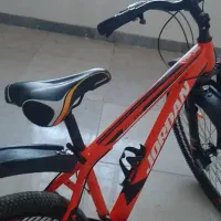 دوچرخه|دوچرخه، اسکیت، اسکوتر|باوی, |دیوار