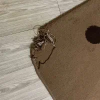 فرش ۴ متری|فرش|نکا, |دیوار