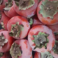 خورمالوی تازه