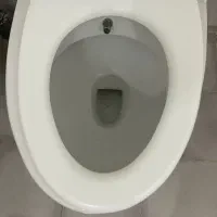 توالت فرنگی|لوازم سرویس بهداشتی|تبریز, |دیوار