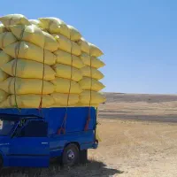 کاه خرید و فروش کاه کمپاین و خرمن خوب
