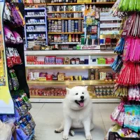 جذب نیروی کار  ۱۳۰۰۰۰۰۰تومان