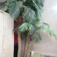 درخت نخل|گل مصنوعی|شاندیز, |دیوار
