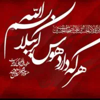 کاروان کربلا  ۶ دی ماه و ۱۷ دی ماه