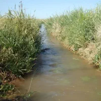 فروش آب کشاورزی همراه زمین و بدون زمین (چاه زینی)