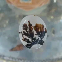 شجر قائن اصل با منظره ای واضح|جواهرات|مشگین شهر, |دیوار