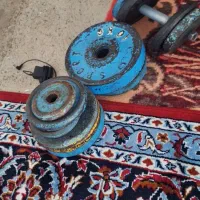 وزنه و دمبل و هالتر|تجهیزات ورزشی|صحنه, |دیوار