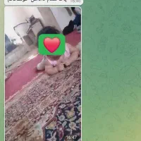 تر*ک آسان|خدمات آرایشگری و زیبایی|میناب, |دیوار