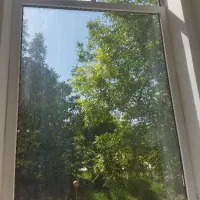 شیشه بری مومنی