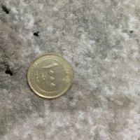تعداد ی سکه|کلکسیون سکه، تمبر، اسکناس|شیبکوه (هرمزگان), |دیوار