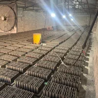 کارگر بلوک زن