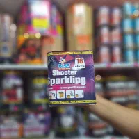 ۱۶ شوت هوایی تک اینچ(کهکشان منور اتش بازی)