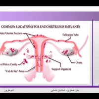 زنان زایمان مامایی|خدمات آرایشگری و زیبایی|شیراز, شاپورجان|دیوار