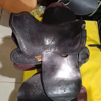 زین و دهنه اسب|اسب و تجهیزات اسبسواری|بهبهان, |دیوار