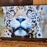 ال ای دی۴۳هویورن اسمارت اندرویدهوشمندتصویر4K