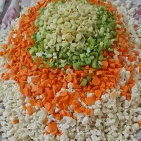 رب درجه یک جوین|خوردنی و آشامیدنی|نیشابور, سرآب کوشک|دیوار