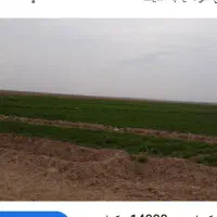 زمین کشاورزی در روستای فتاح