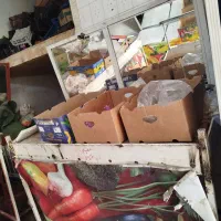 میز میوه|فروشگاه و مغازه|یاسوج, |دیوار