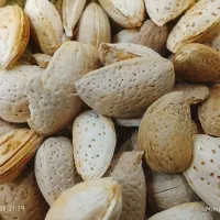 بادام درجه یک