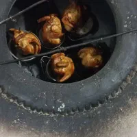 تنور درمانی|خدمات پذیرایی، مراسم|ارومیه, |دیوار