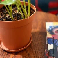 کتاب کنکوری تجربی