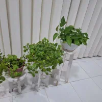 خانه مسافر مهر وماه|اجارهٔ کوتاه‌مدت آپارتمان و سوئیت|آبدانان, |دیوار