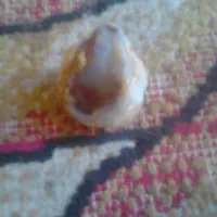 سنگ|جواهرات|شیراز, شهرک فرزانگان|دیوار