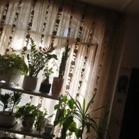 پرده|پرده، رانر، رومیزی|مشهد, سرافرازان|دیوار