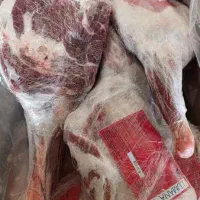 فروش گوشت تازه و منجمد دام|خوردنی و آشامیدنی|تهران, توحید|دیوار
