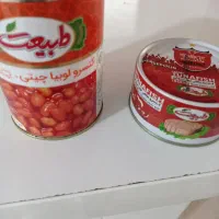 فروش کنسرو ماهی وکنسرولوبیاچیتی