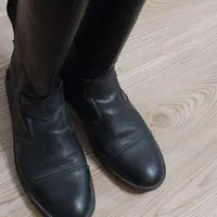 سوار کاری|اسب و تجهیزات اسب‌سواری|رشت, آزادگان|دیوار