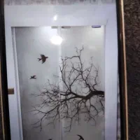 شیشه بری|خدمات پیشه و مهارت|شاهین‌شهر, گرگاب|دیوار