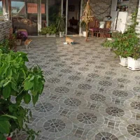 نشر اب سرویس بهداشتی بدون  تخریب