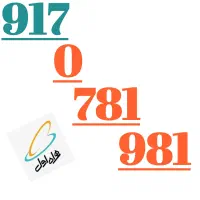 917.0.781.981