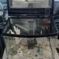 آکواریوم مشکی|ماهی|پرند, فاز ۴|دیوار