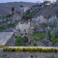 سوئیت زشک|اجارهٔ کوتاهمدت آپارتمان و سوئیت|شاندیز, |دیوار