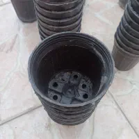 گلدان پلتستیکی|ابزارآلات|اهواز, امانیه|دیوار