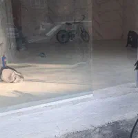 فروش مغازه ۳۳ متری در خاک سفید|فروش مغازه و غرفه|تهران, خاک سفید|دیوار
