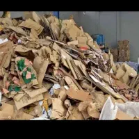 کارتون شمارا برمیداریم