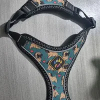 قلاده سگ سالم و نو