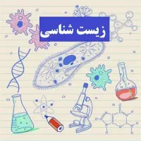 نیازمند دستیار
