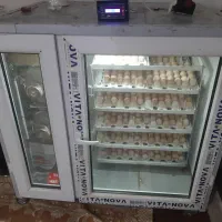 دستگاه جوجه کشی 1000تایی درناگستر درجه1معاوضه دارم|لوازم جانبی حیوانات|سبزوار, صالح آباد|دیوار