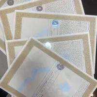 ۲۹۰متری زمین گلبهار مشهد تربت حیدریه سندقطعی|فروش زمین و ملک کلنگی|تربت‌حیدریه, |دیوار