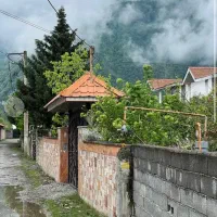 پلاک-اول-جنگل-ویو-ابدی-دریا-استثنایی-شسته-رفته