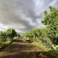 باغچه ۵۹۸ متری سنددار در جابان دماوند|فروش زمین و ملک کلنگی|دماوند, دماوند|دیوار