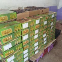 خرما ربی
