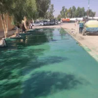 بتن ریزی کف با ماله پروانه ای برقی