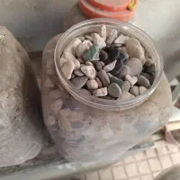 سنگ کف آکواریوم و خود آکواریوم رایگان