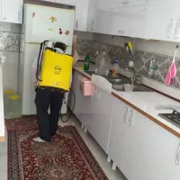 سمپاشی اماکن خانگی اداری بامجوز رسمی وزارت بهداشت