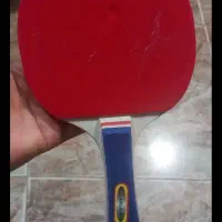 راکت پینگ پنگ|ورزش‌های توپی|بروجرد, |دیوار